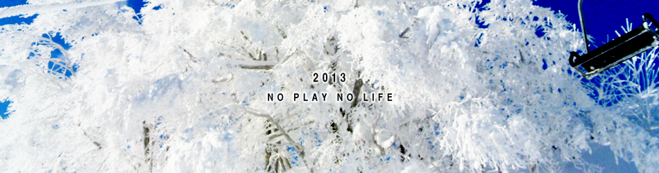NO PLAY NO LIFE 2013